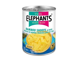 TWIN ELEPHANT EARTH Twin Elephants bambusové výhonky plátky 540 g