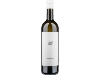 Fabig BIG Sauvignon Blanc 2023 – 0,75 l